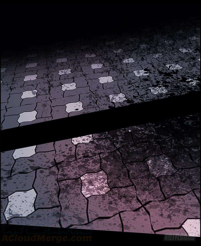 78.jpg