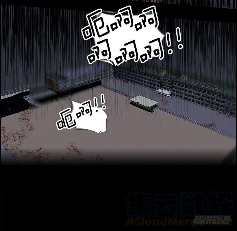 78.jpg
