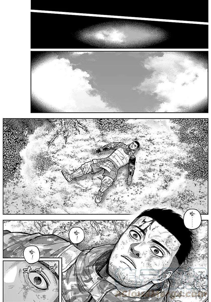 13.jpg