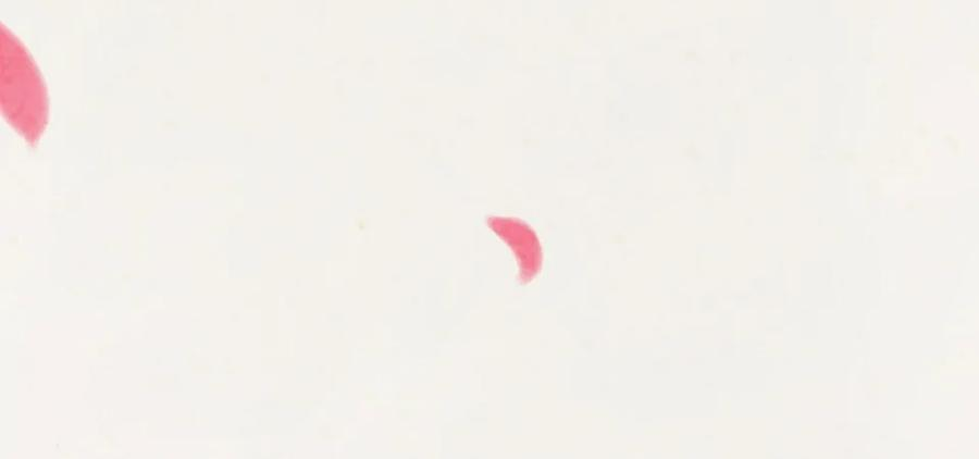 124.jpg