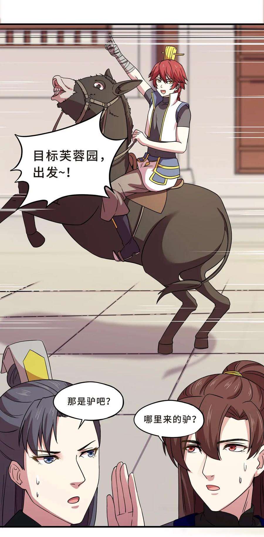 31.jpg