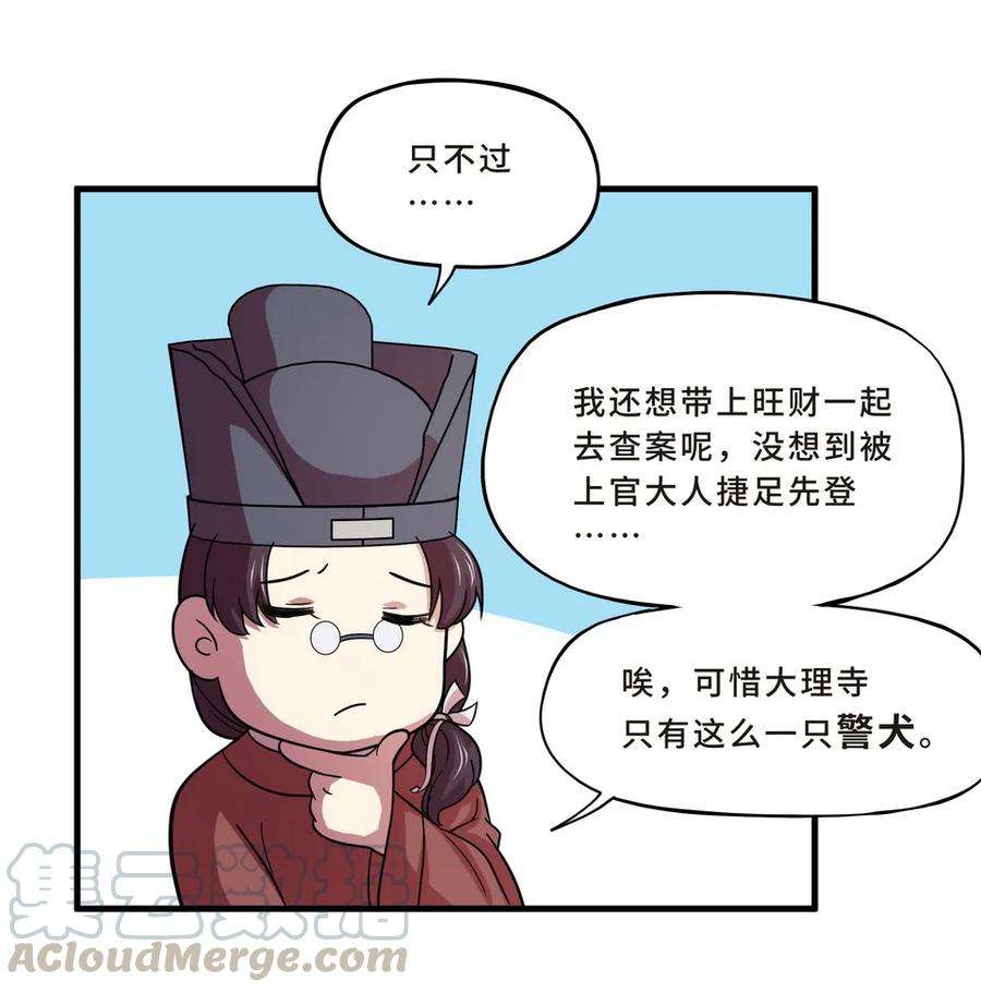 41.jpg