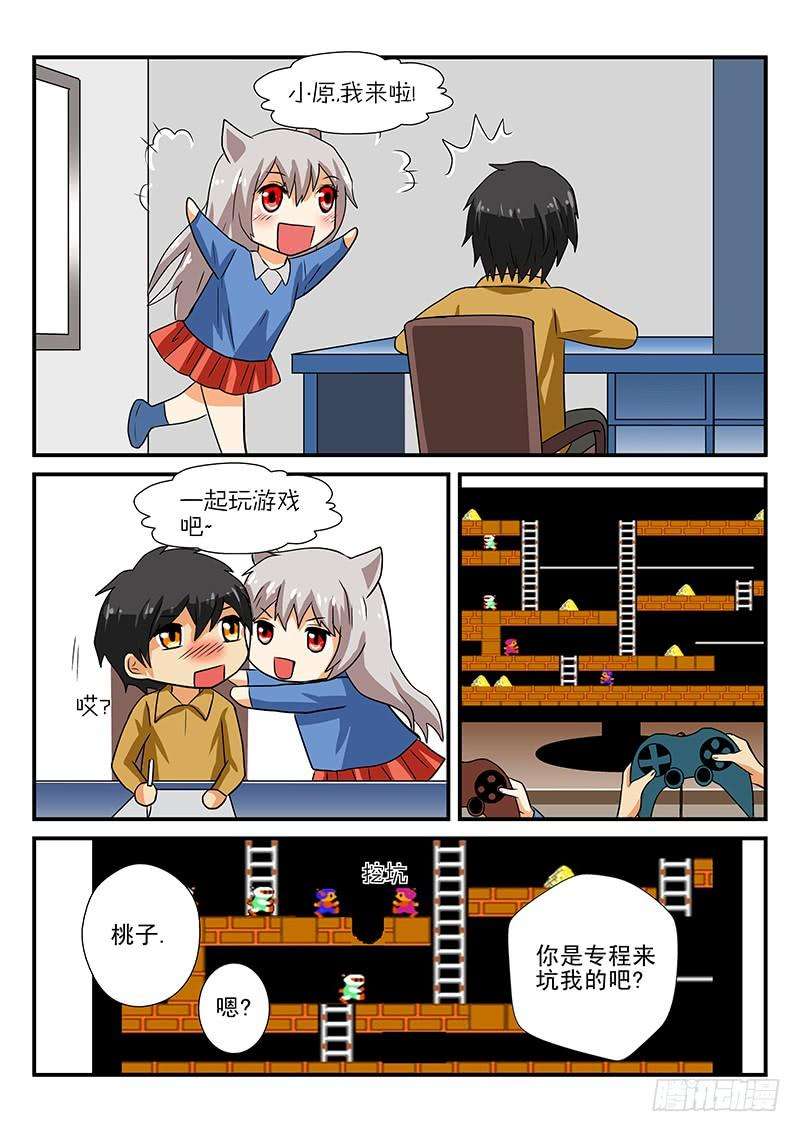 16.jpg