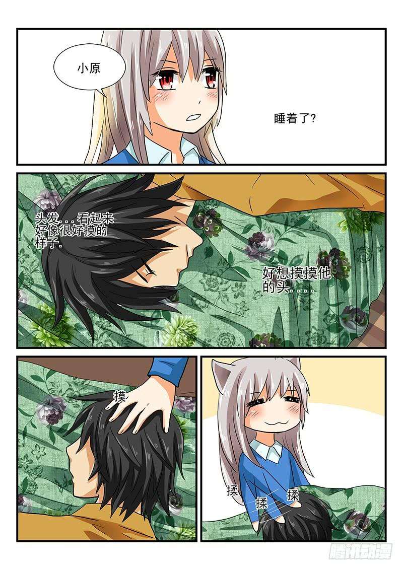 6.jpg