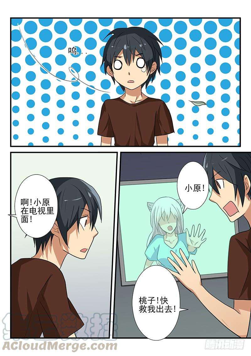 11.jpg