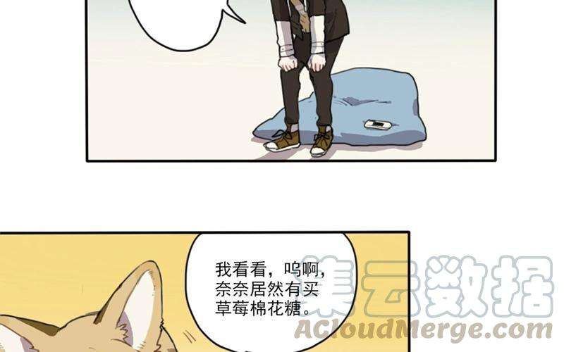41.jpg