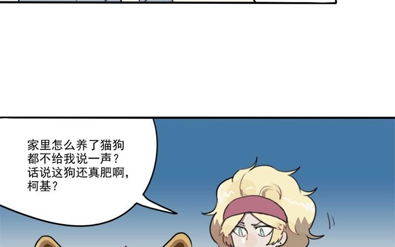 15.jpg