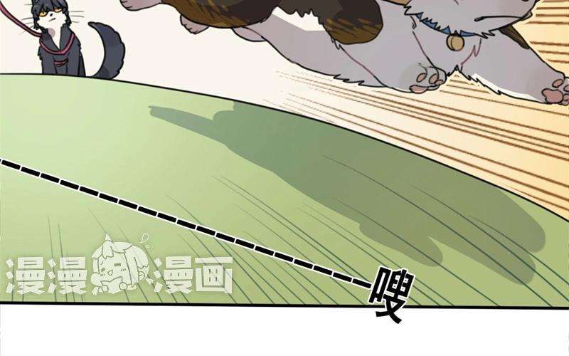 35.jpg