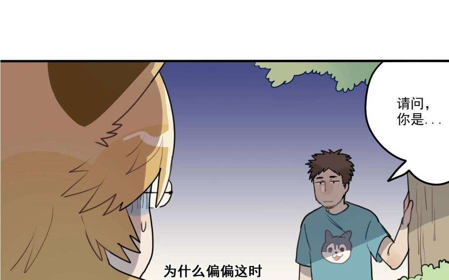 46.jpg