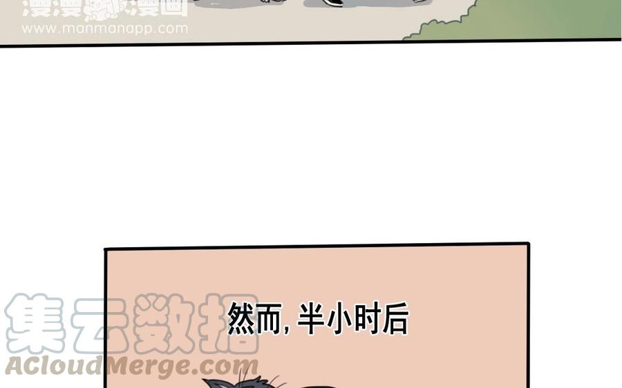 37.jpg