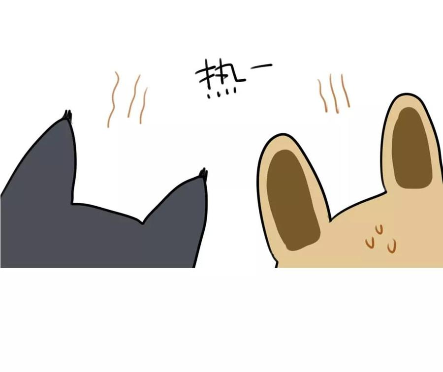 46.jpg