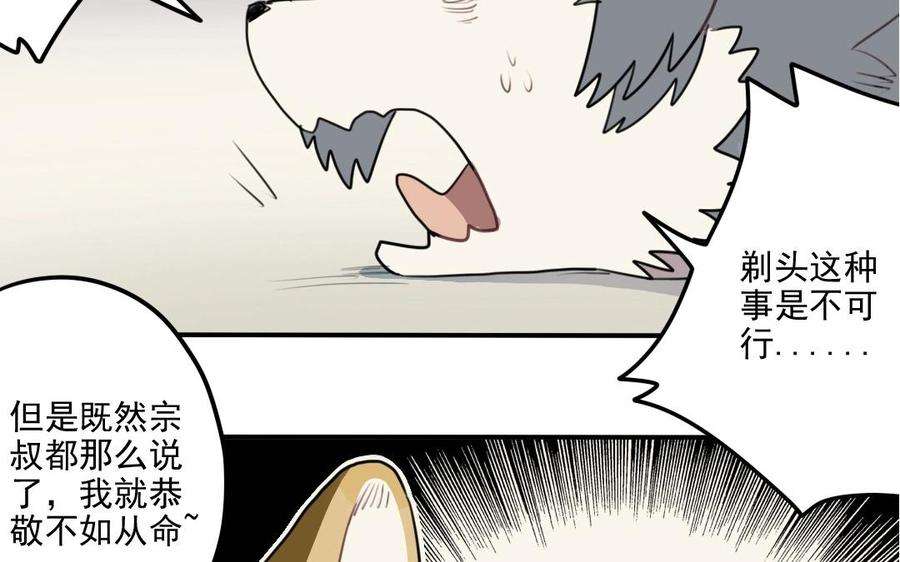 43.jpg