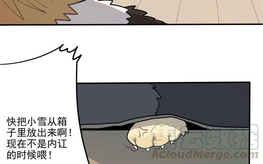 17.jpg