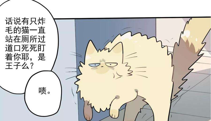 41.jpg
