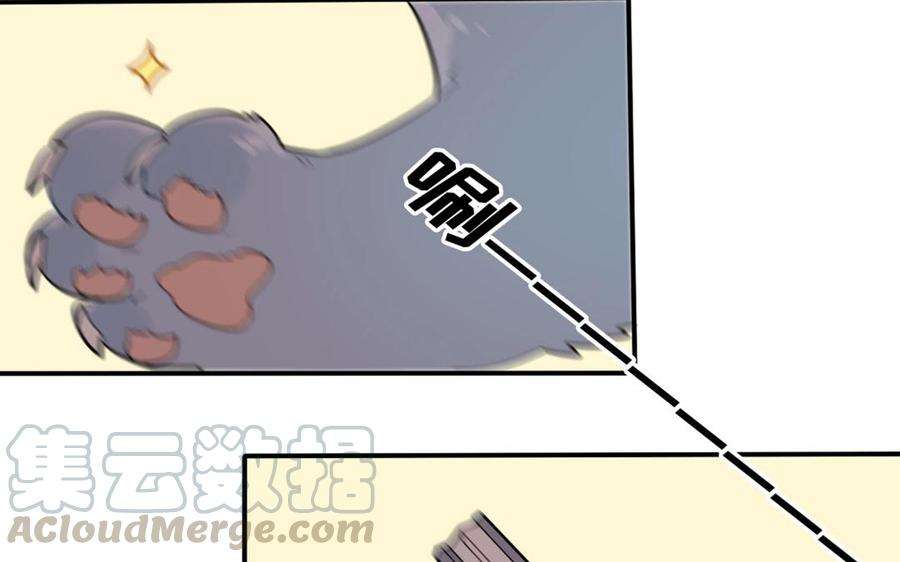 41.jpg