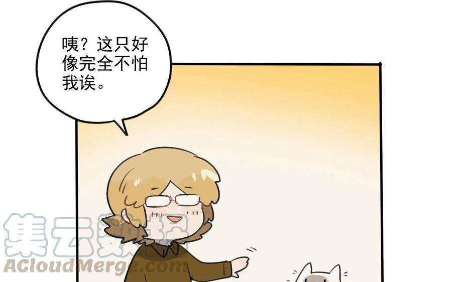 41.jpg
