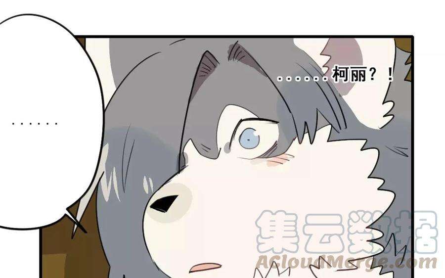 45.jpg