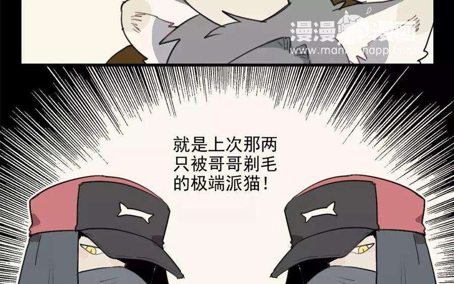 39.jpg