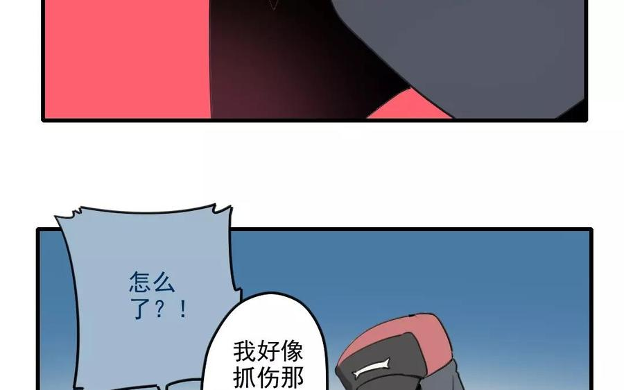 19.jpg