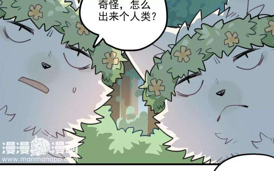 33.jpg