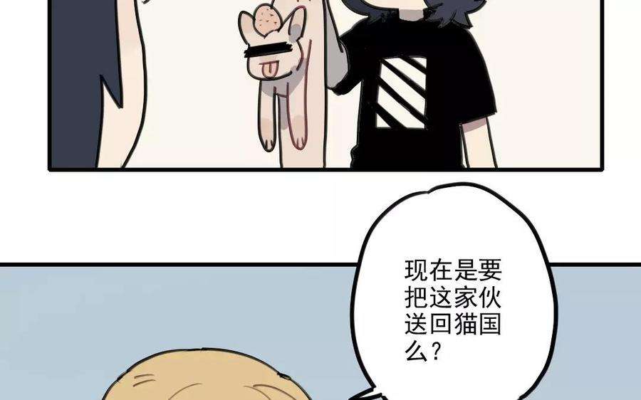 39.jpg