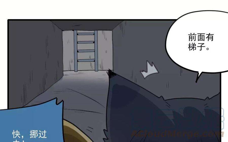 34.jpg
