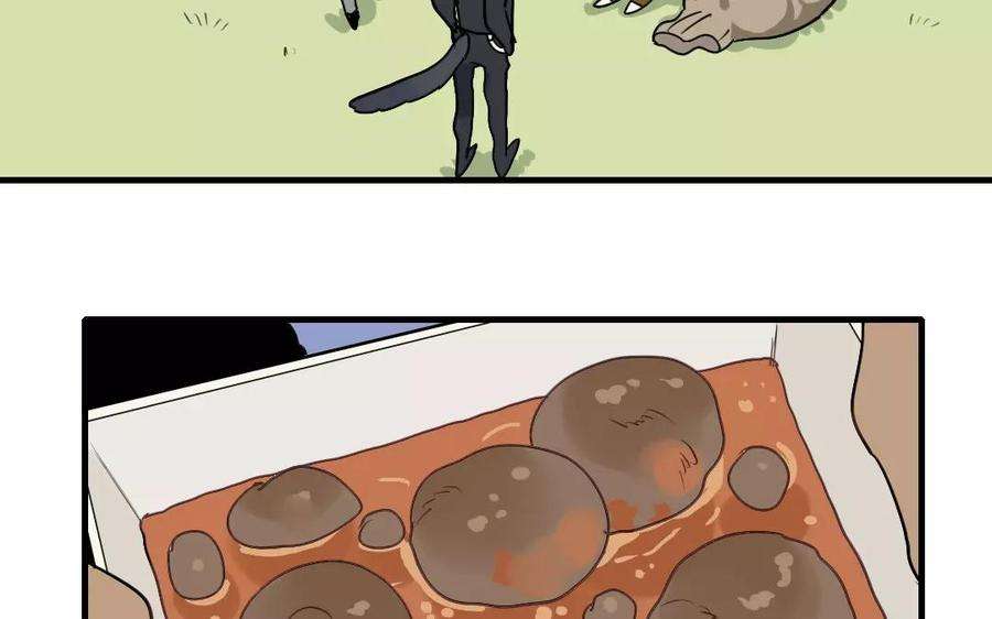 21.jpg