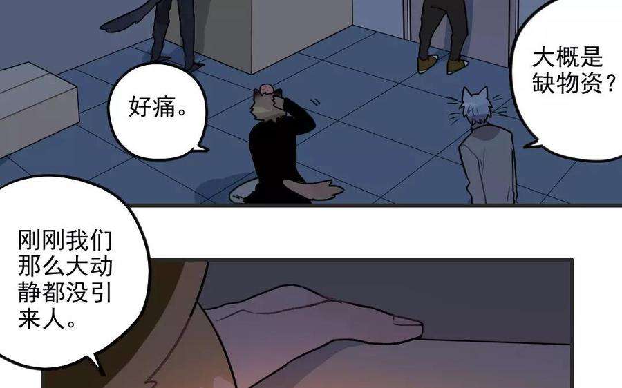 33.jpg