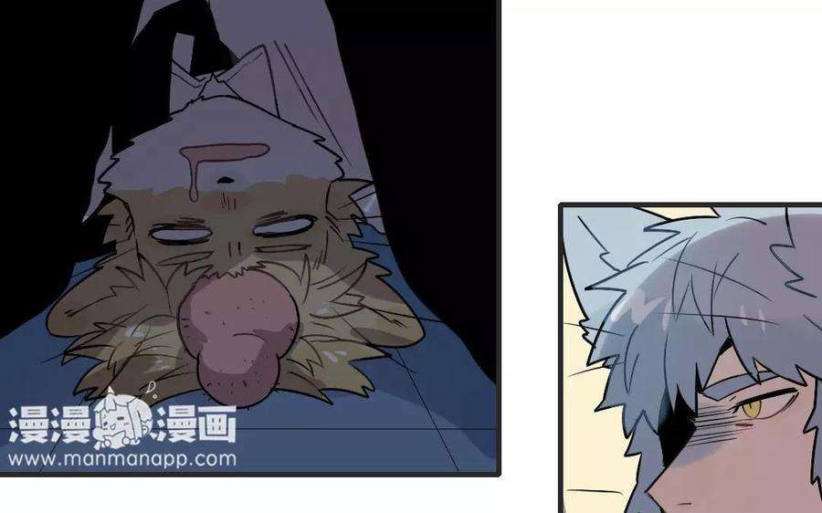 29.jpg