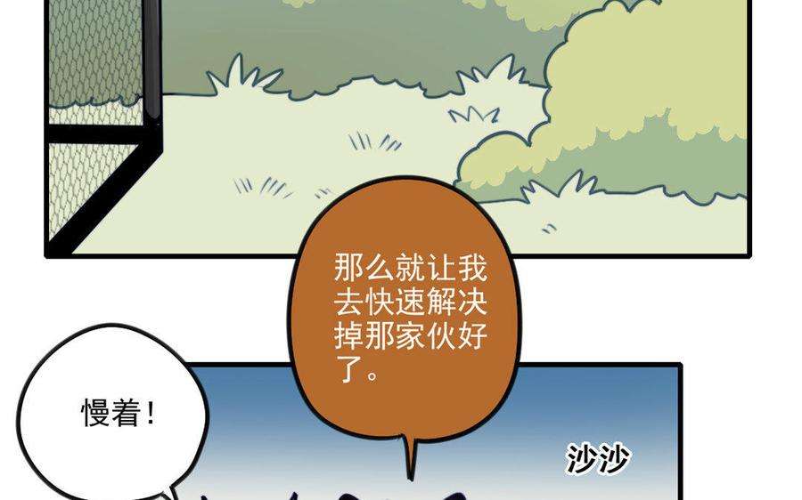 29.jpg