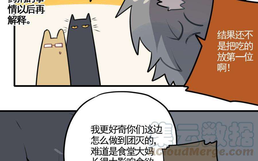 37.jpg