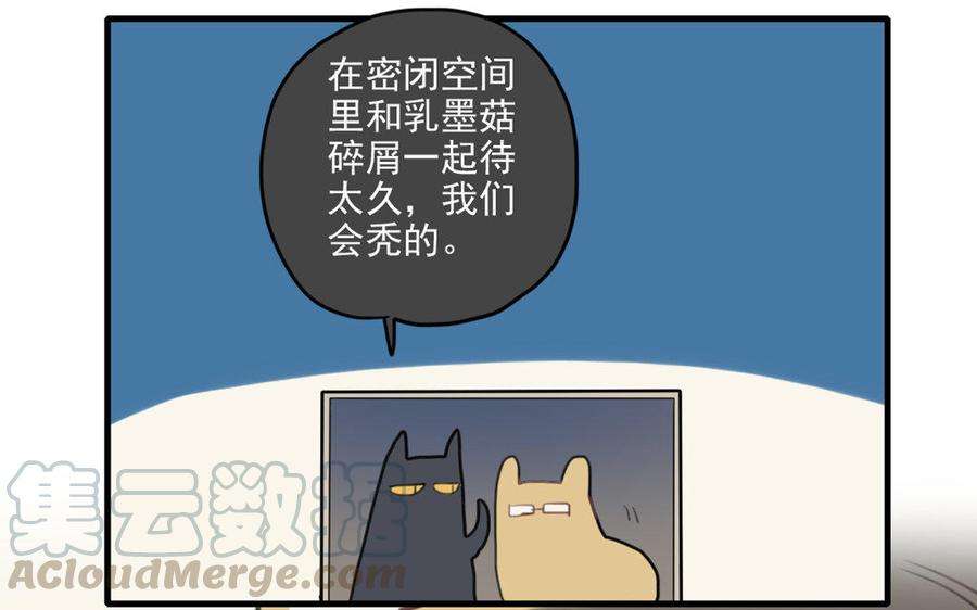 34.jpg