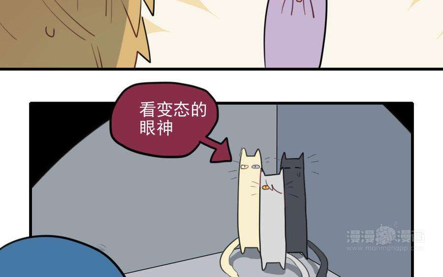 33.jpg