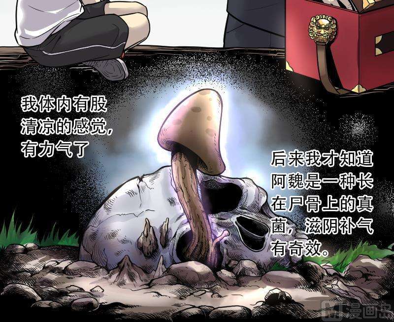 22.jpg
