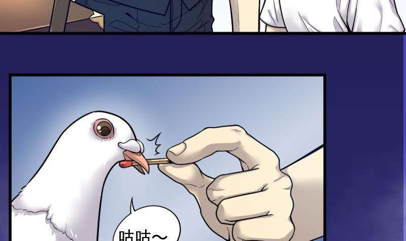33.jpg