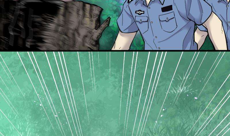 35.jpg