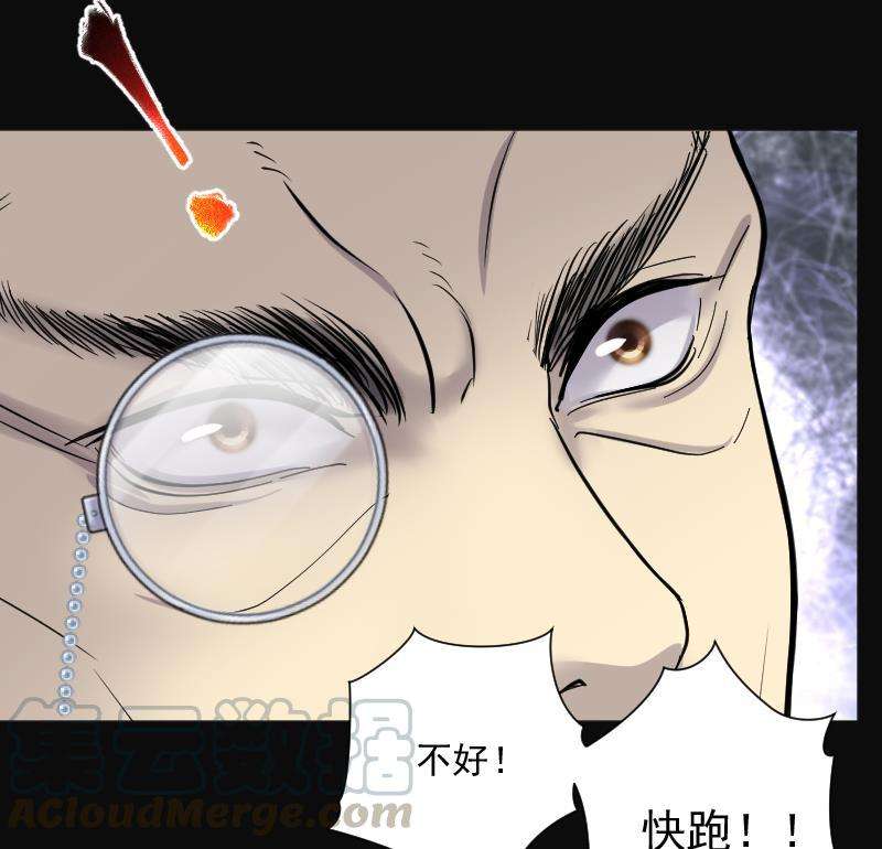 81.jpg