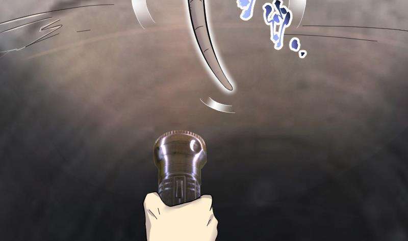 63.jpg