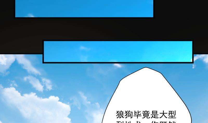 20.jpg