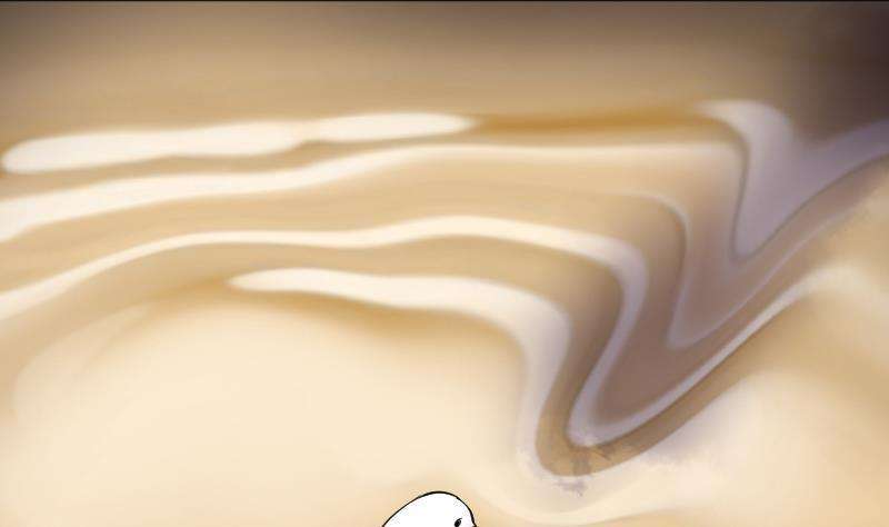 46.jpg