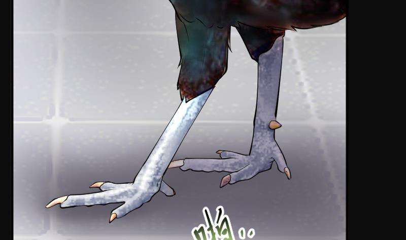 47.jpg