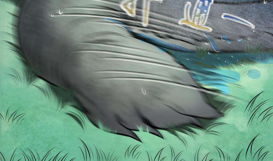 50.jpg