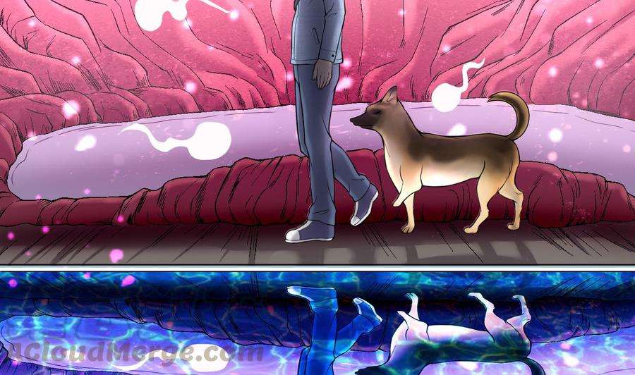 71.jpg