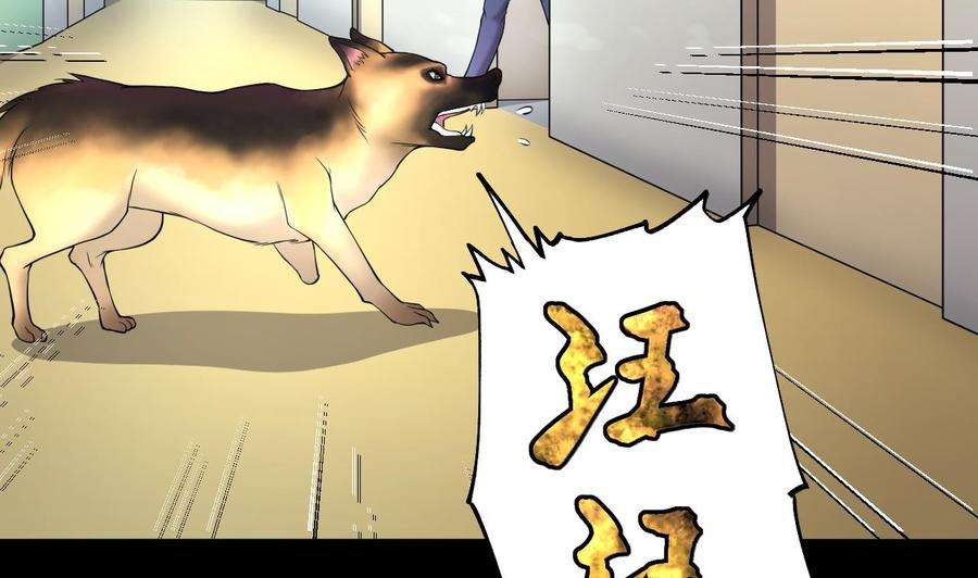 55.jpg