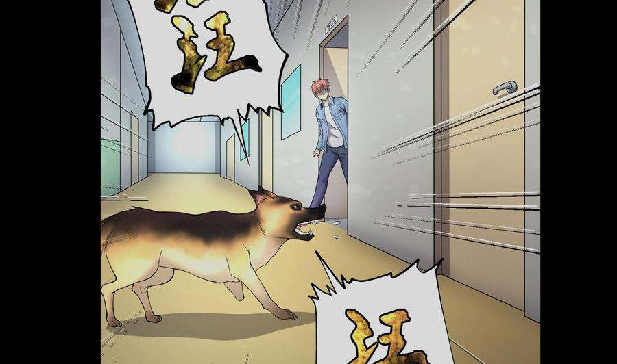 35.jpg