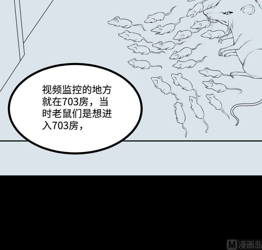 63.jpg