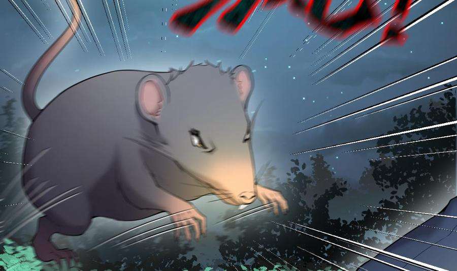 16.jpg