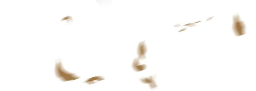 64.jpg