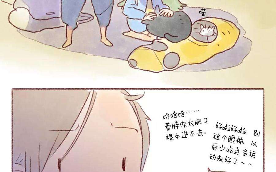 17.jpg