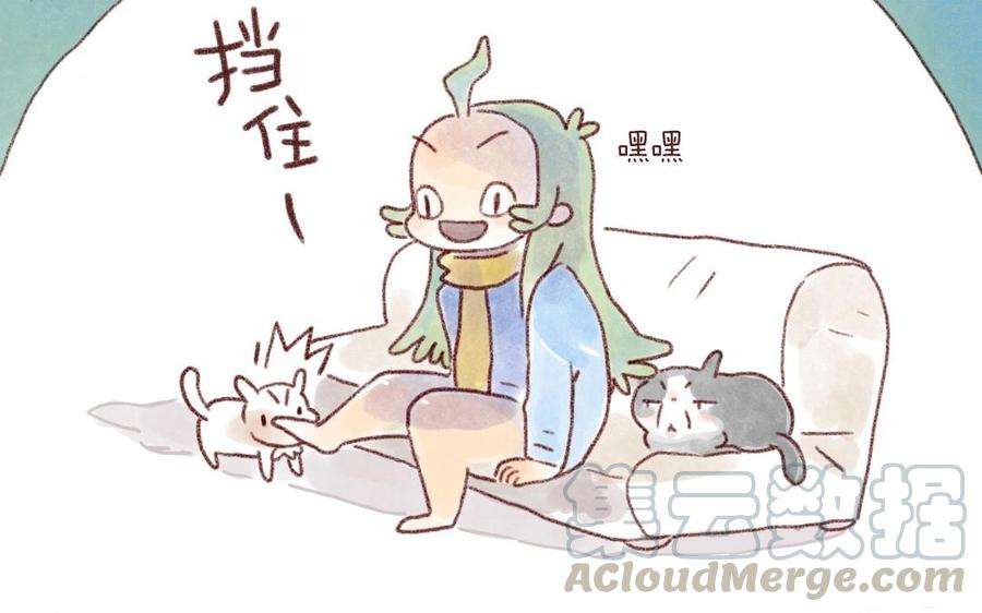 19.jpg